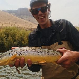 Meet your Posher, Tanner